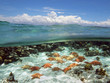 Split view with sky and underwater starfish