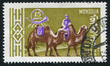 camel