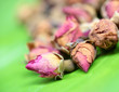 Flower tea rose buds on banana leaves