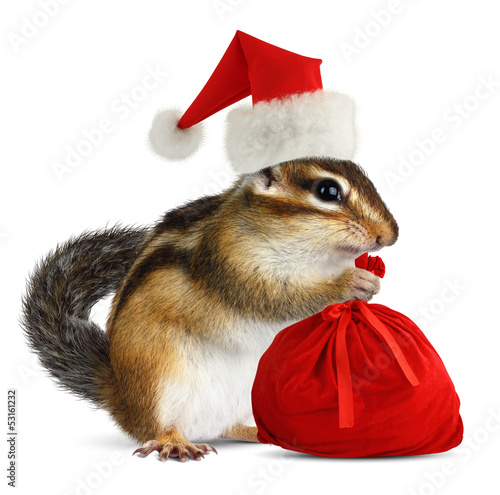 Photo: Chipmunk in red Santa Claus hat with Santas bag Chipmunk in red Santa Claus hat with Santas bag