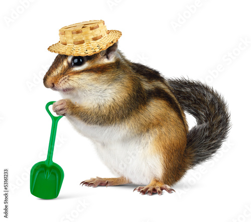 Photo: Funny chipmunk with straw hat and shovel Funny chipmunk with straw hat and shovel