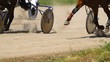 Video: Equestrians running horses on hippodrome Equestrians running horses on hippodrome