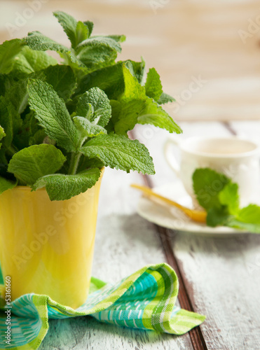 Photo: Fresh mint in cup Fresh mint in cup