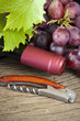 Weintrauben und Weinflasche - Grapes and wine bottle