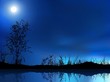 Night Landscape