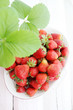 strawberry top view
