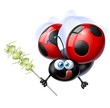 coccinella mangia afidi