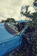 car crash