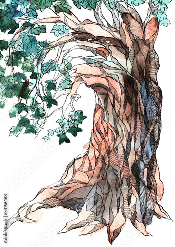 Illustration: old tree old tree