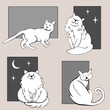 Funny cats sketches set three
