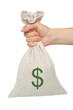 Hand holds bag with money on white background.