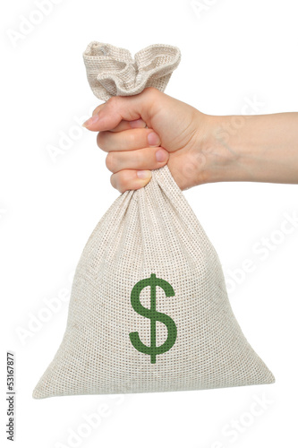 Photo: Hand holds bag with money on white background. Hand holds bag with money on white background.