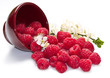 fresh raspberries scattered on white background