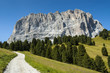 Group Sassolungo, path and forest, Dolomites