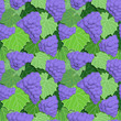 Grapes and Leaves