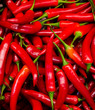 Chilischoten
