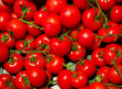 Tomaten