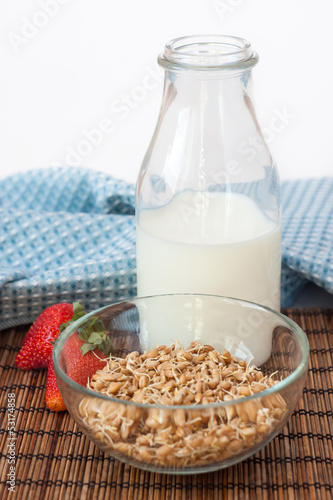 Photo: Germ cereal with bottle of milk Germ cereal with bottle of milk