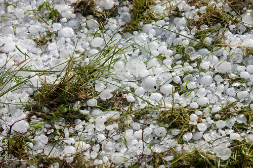 Photo: Big ice balls hail on green grass Big ice balls hail on green grass