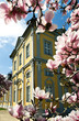 Orangerie in Gera mit Magnolien