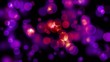 Abstract Motion Background - Pink Purple Bokeh