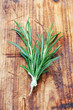 Rosemary