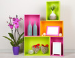 Beautiful colorful shelves with different home related objects