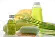 Wellness Grün Gras Öl Selfe Schwamm