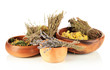Medicinal Herbs in wooden bowls isolated on white