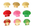 Colorful seashells, isolated on white