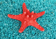 Starfish on blue crystals of sea salt background