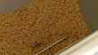 Grinding of malt for producing beer at the brewery.