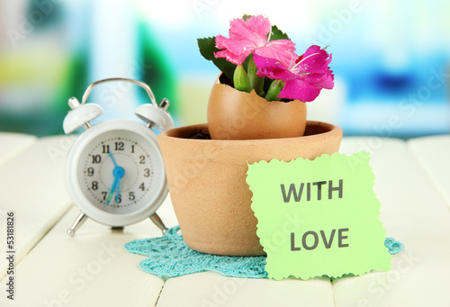 Photo: Flowers growing from egg shell, on bright background Flowers growing from egg shell, on bright background