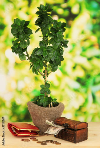 Photo: Money tree with money on wooden table on natural background Money tree with money on wooden table on natural background