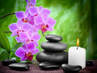 Foto: spa concept spa concept