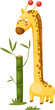 cute giraffe with bamboo
