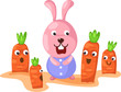 cute bunny with carrot