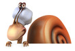 Fun snail