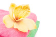 Colored bath towels, soft terry
