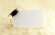 school at the beach, graduation cap blank