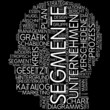 Segmente
