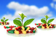 Pills and plants.