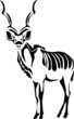 kudu