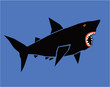 Vector cartoon shark