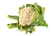 Foto: cauliflower cauliflower