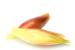Japanese ginger
