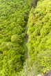canvas print picture - On the Hiking Trail Eifelsteig