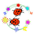 Ladybird