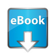 E-Book Download Button