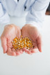 Man holding corn grain in his hands